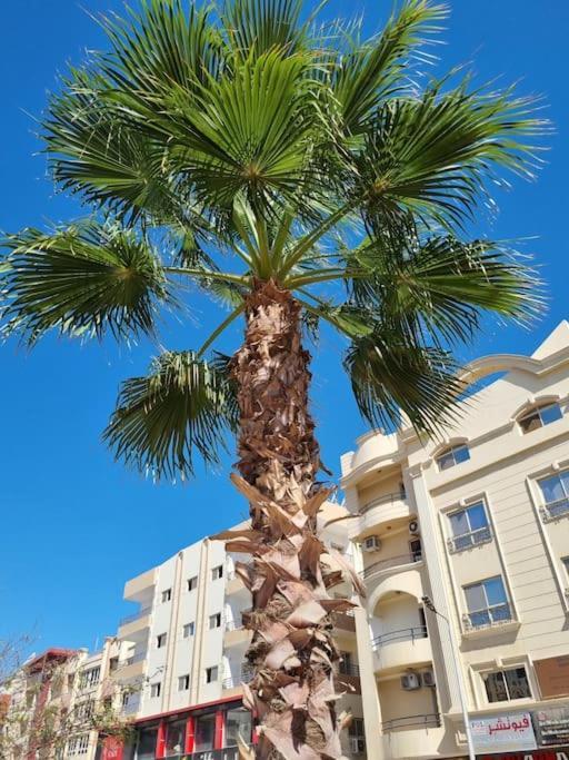 - Westside Village Hurghada